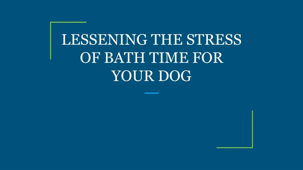 lessening the stress of bath time for your dog