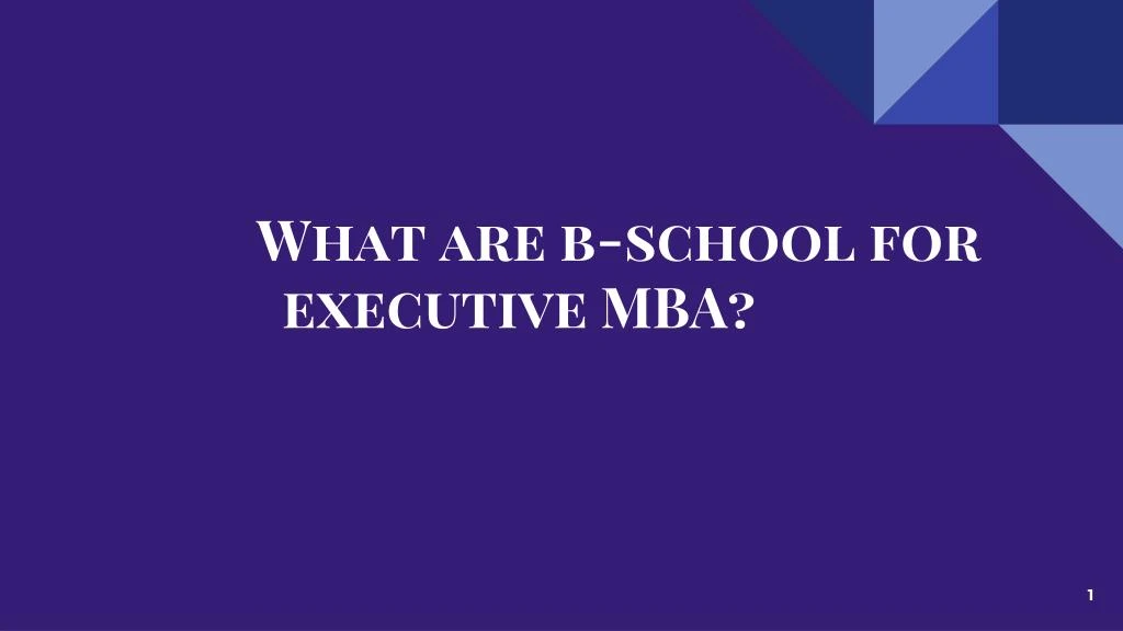 what are b school for executive mba
