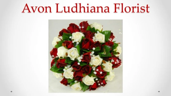 Send Cakes to Ludhiana | Ludhiana Florist