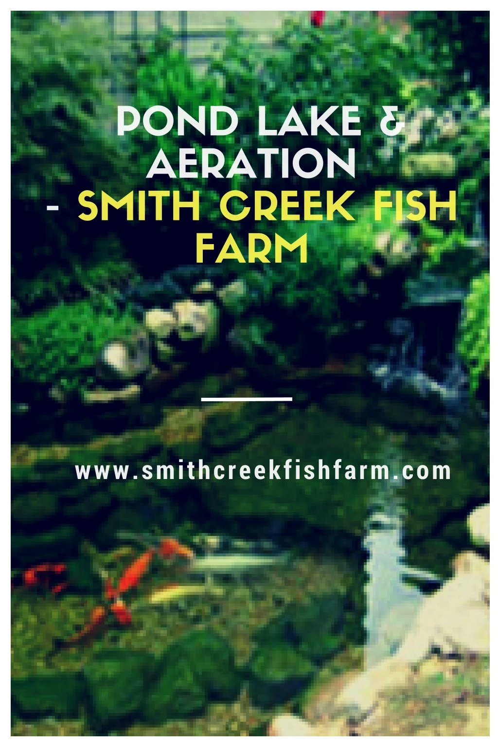pond lake aeration smith creek fish farm