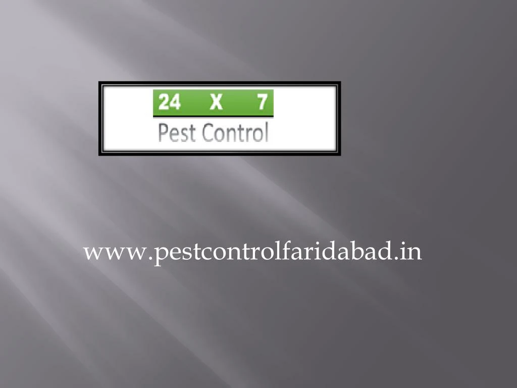 www pestcontrolfaridabad in