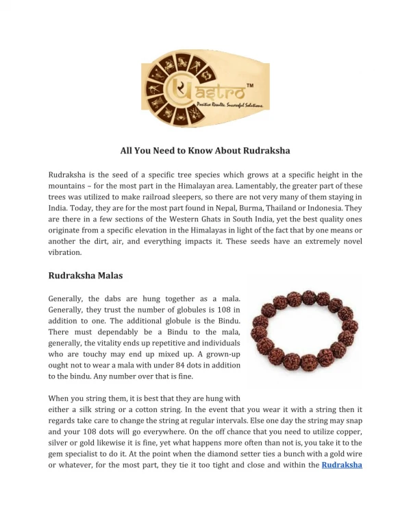 All You Need to Know About Rudraksha