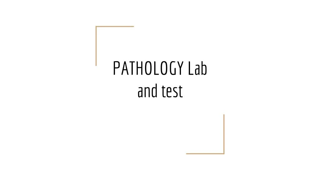 pathology lab and test