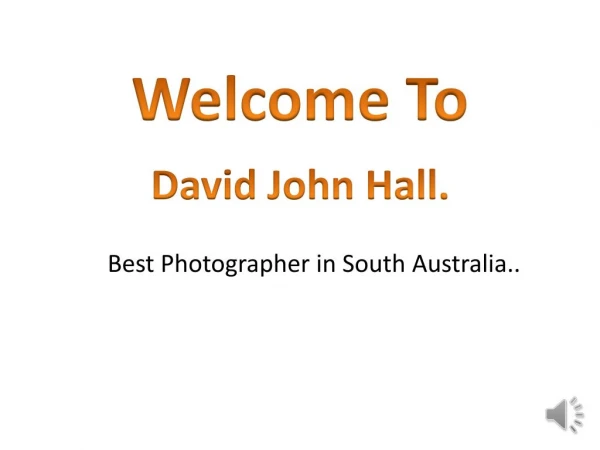 David John Hall || David John Hall Photography
