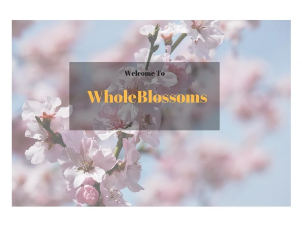 WholeBlossoms- We chauffeur quality at its best
