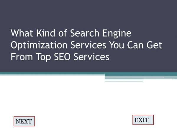 What Kind of Search Engine Optimization Services You Can Get From Top SEO Services