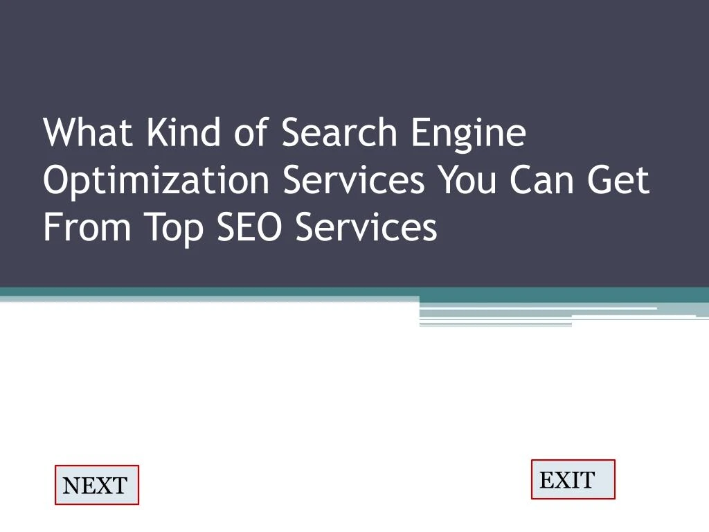 what kind of search engine optimization services you can get from top seo services