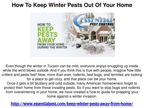 How To Keep Winter Pests Out Of Your Home