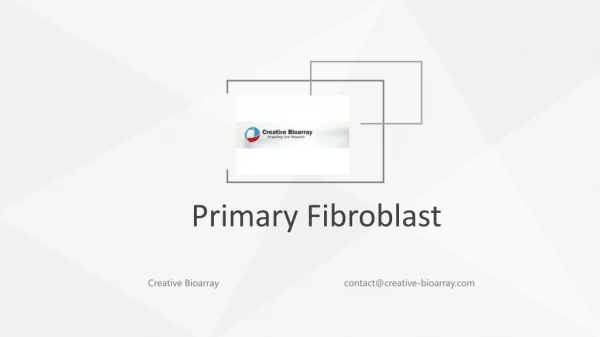 Primary fibroblasts