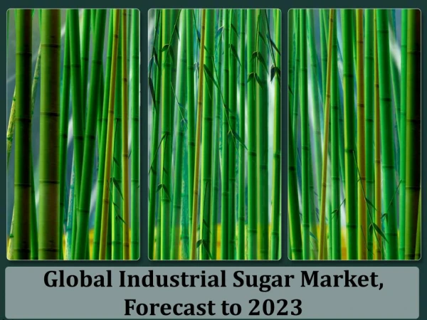 Global Industrial Sugar Market, Forecast to 2023