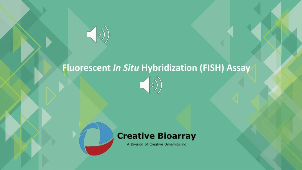 fluorescent in situ hybridization fish assay