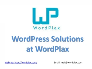 WordPlax - Wordpress Theme Customization Services - slide 1
