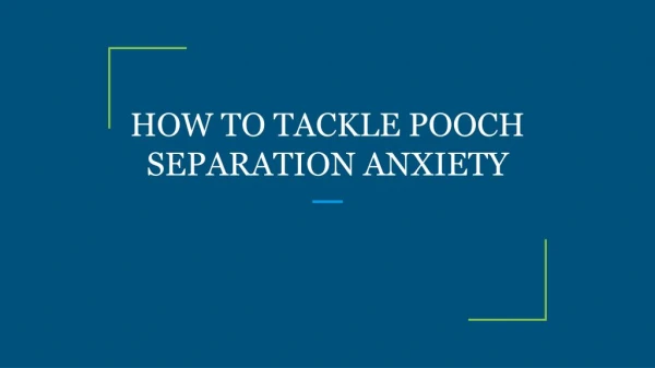 HOW TO TACKLE POOCH SEPARATION ANXIETY