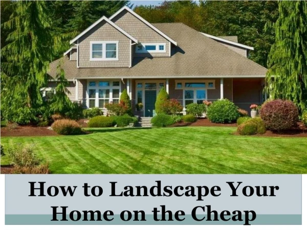 How to Landscape Your Home on the Cheap