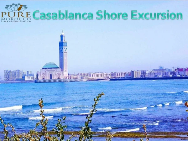 Casablanca Shore Excursion