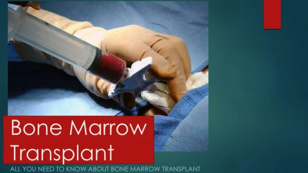 All you need to know about bone marrow Trans plant