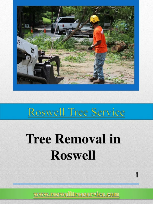 Roswell Tree Service