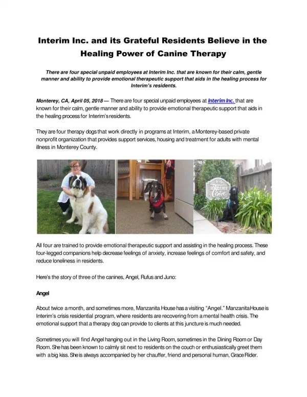 Interim Inc. and its Grateful Residents Believe in the Healing Power of Canine Therapy