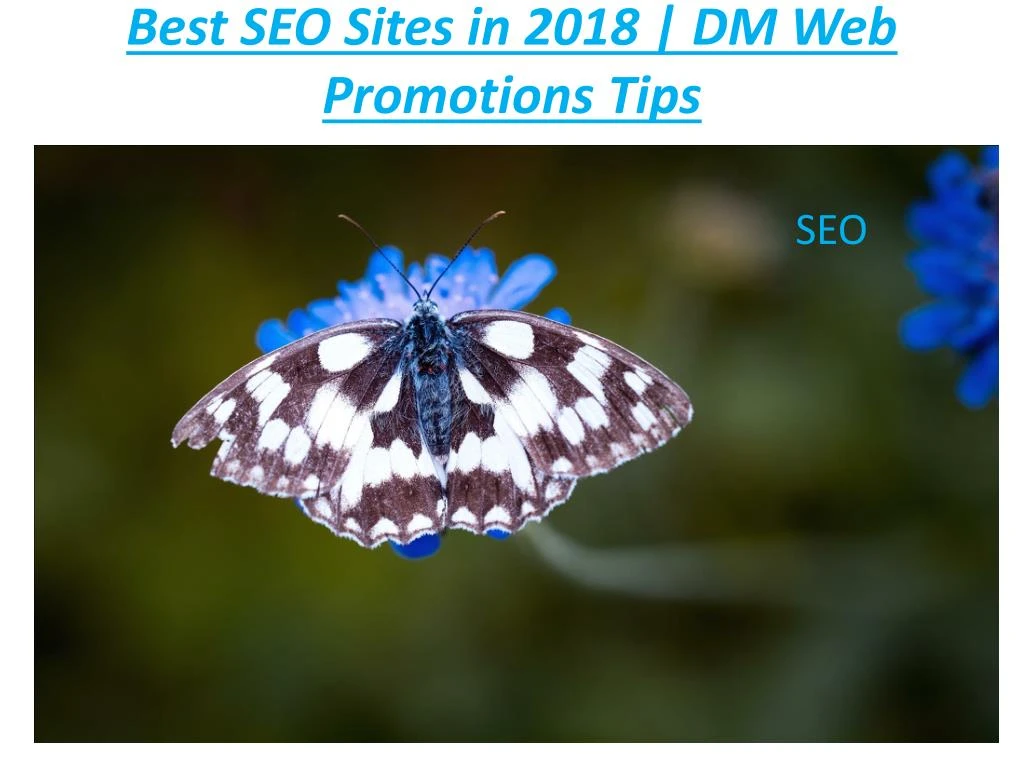 best seo sites in 2018 dm web promotions tips