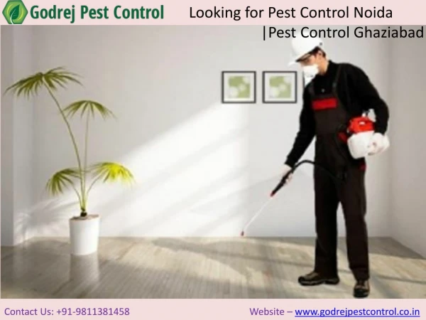 Looking for Pest Control Noida |Pest Control Ghaziabad