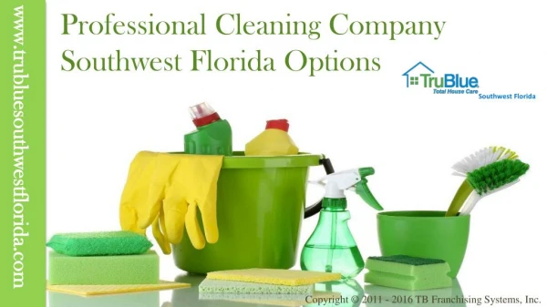 Professional Home Cleaning Company Southwest Florida Options