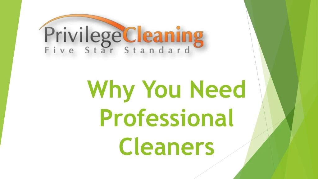 why you need professional cleaners
