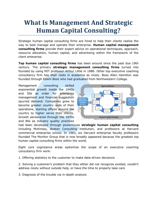 What Is Management And Strategic Human Capital Consulting?