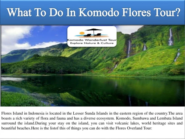 What To Do In Komodo Flores Tour?