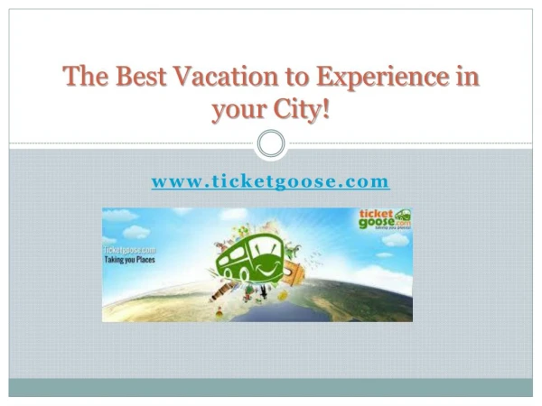 The Best Vacation to Experience in your City!