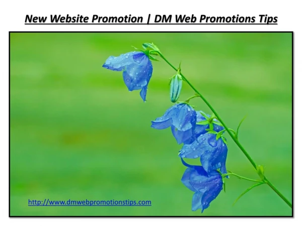 new website promotion dm web promotions tips