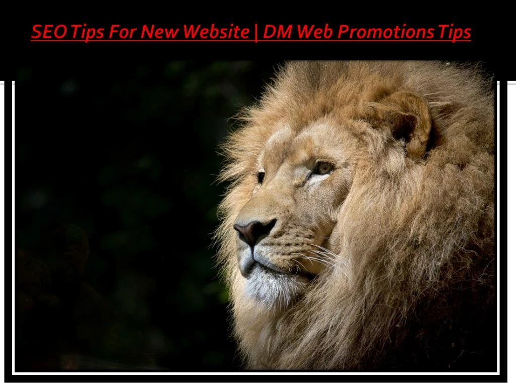 seo tips for new website dm web promotions tips