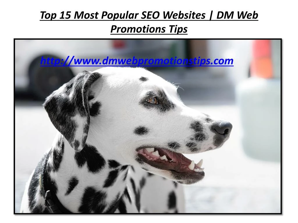 top 15 most popular seo websites dm web promotions tips