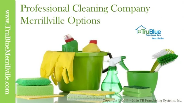 Professional Cleaning Company Merrillville Options