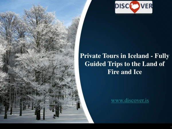 Private Tours in Iceland - Fully Guided Trips to the Land of Fire and Ice