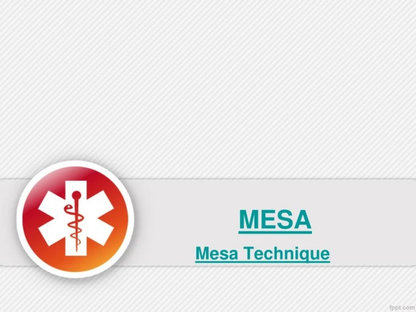 Mesa Techniques