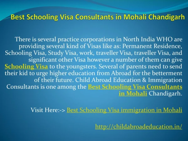 Best Schooling Visa Consultants in Mohali Chandigarh