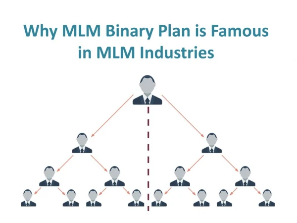 Why MLM Binary Plan is Famous in MLM Industries