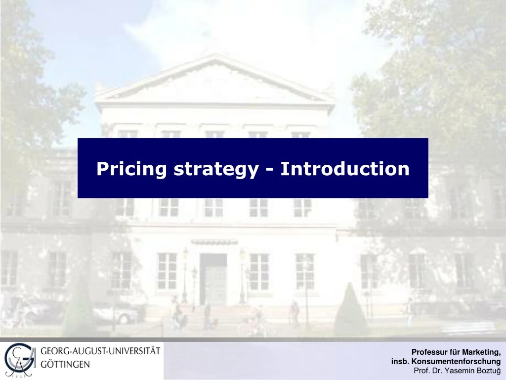 pricing strategy introduction
