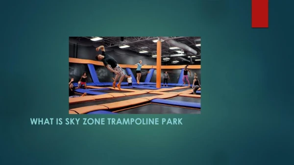 What is Sky Zone Trampoline Park And Everything That You Must Learn