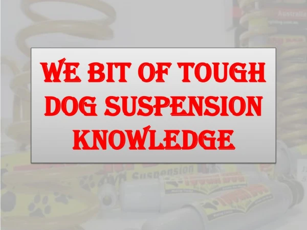 We Bit of Tough Dog Suspension Knowledge