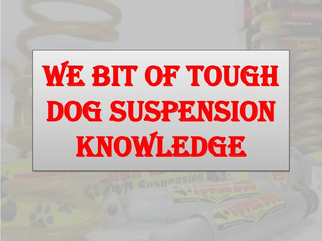 we bit of tough dog suspension knowledge
