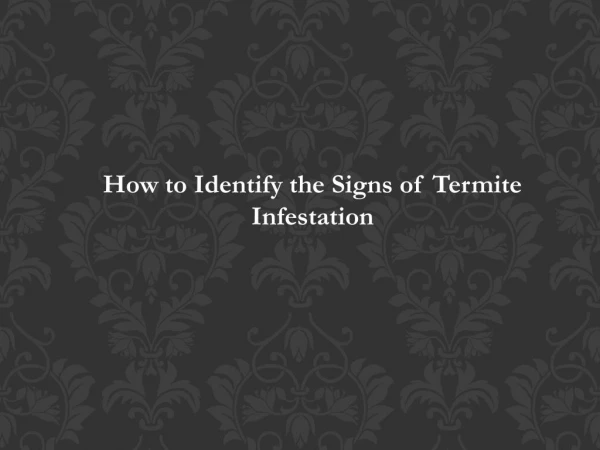 How to Identify the Signs of Termite Infestation