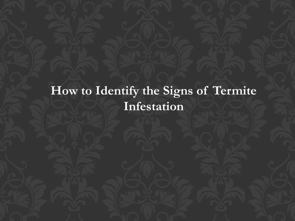 how to identify the signs of termite infestation