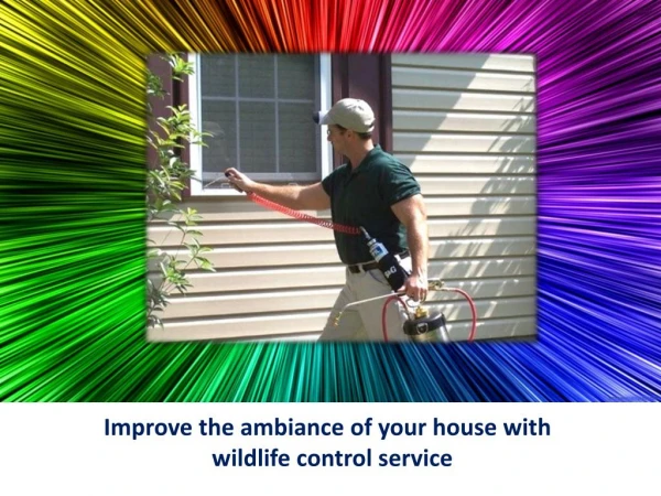 Improve the ambiance of your house with wildlife control service