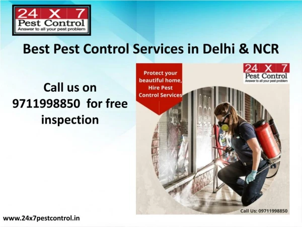 Pest Control Delhi-Most Effective & Odorless Services
