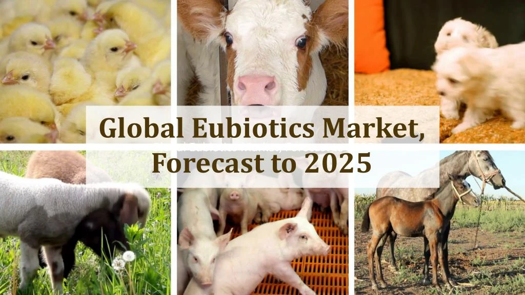 global eubiotics market forecast to 2025