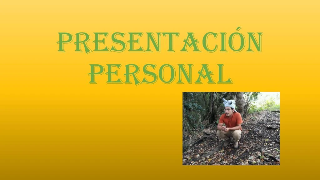 presentaci n personal