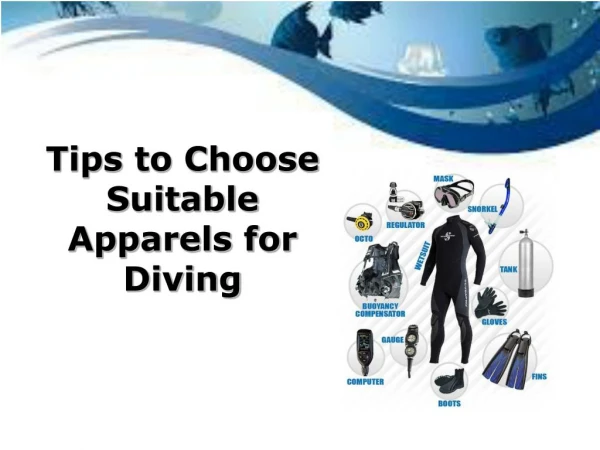 Tips to Choose Suitable Apparels for Diving