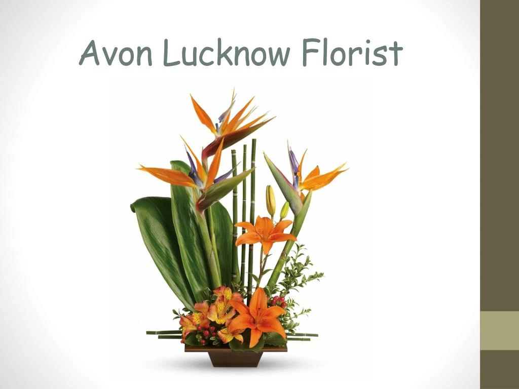 avon lucknow florist