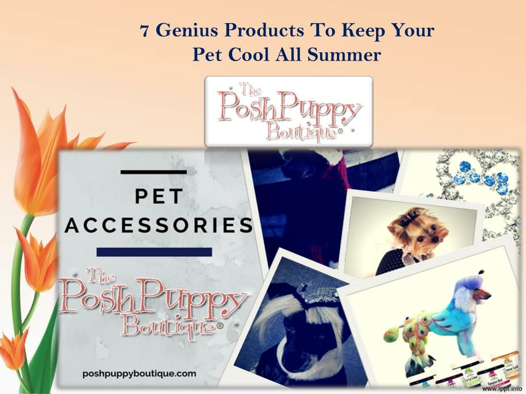7 genius products to keep your pet cool all summer